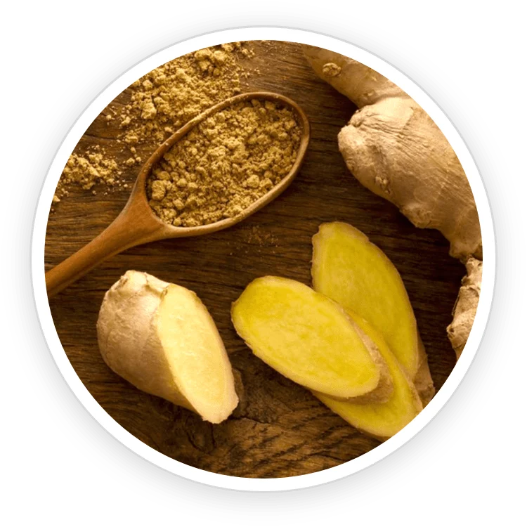 Lion's Mane and Ginger